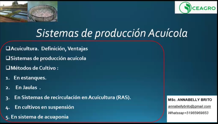 SISTEMAS DE PRODUCCIÓN ACUÍCOLAS